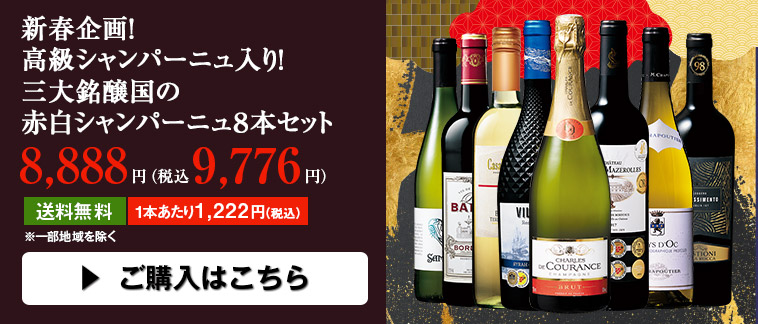 新春企画！高級シャンパーニュ入り！三大銘醸国の赤白シャンパーニュ８本セット