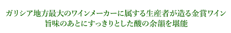 ガリシア地方最大のワインメーカーに属する生産者が造る金賞ワイン旨味のあとにすっきりとした酸の余韻を堪能