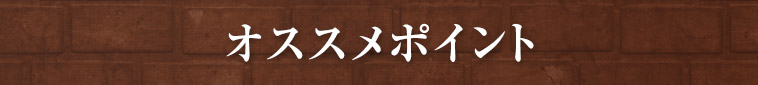 オススメポイント