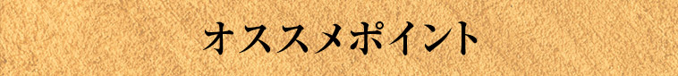 オススメポイント
