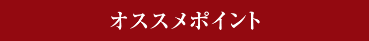 オススメポイント