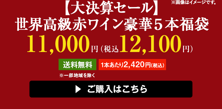 【大決算セール】世界高級赤ワイン豪華５本福袋