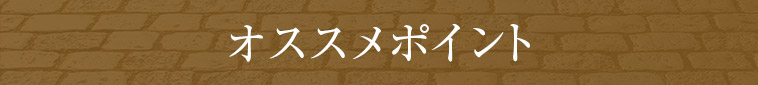 オススメポイント