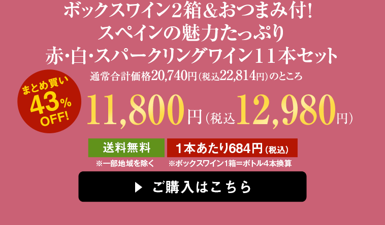 ボックスワイン２箱＆おつまみ付！ スペインの魅力たっぷり赤・白・スパークリングワイン１１本セット