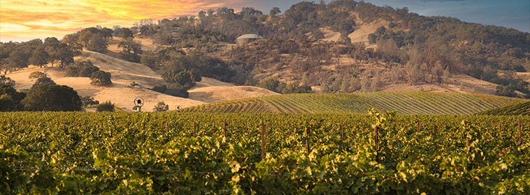 カリフォルニア