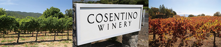 コセンティーノ・ワイナリー