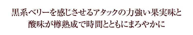 黒系ベリーを感じさせるアタックの力強い果実味と酸味が樽熟成で時間とともにまろやかに