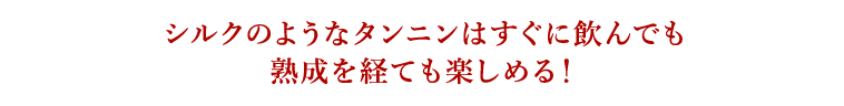 シルクのようなタンニンはすぐに飲んでも熟成を経ても楽しめる！