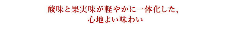 酸味と果実味が軽やかに一体化した、心地よい味わい