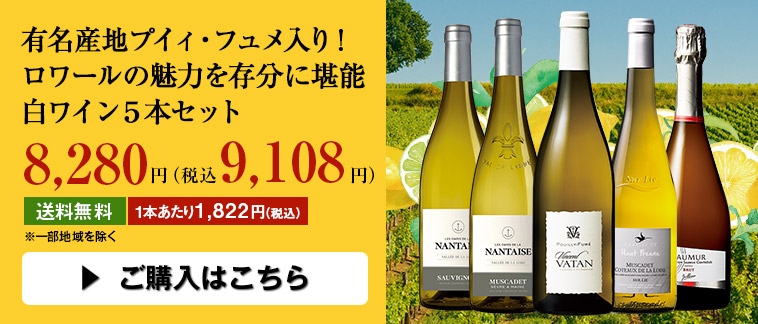 有名産地プイィ・フュメ入り！ロワールの魅力を存分に堪能白・スパークリングワイン５本セット