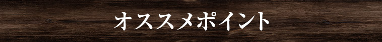オススメポイント