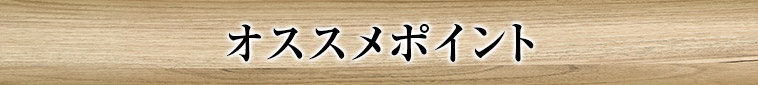 オススメポイント