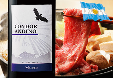 コンドール・アンディーノ・マルベック