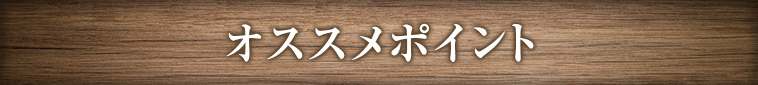 オススメポイント