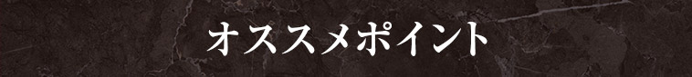 オススメポイント