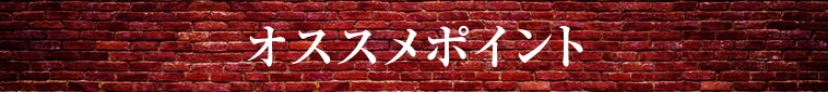 オススメポイント