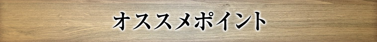 オススメポイント