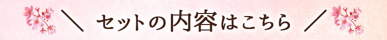 セットの内容はこちら