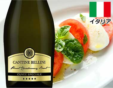 カンティネ・ベッリーニ・スプマンテ・ブリュット