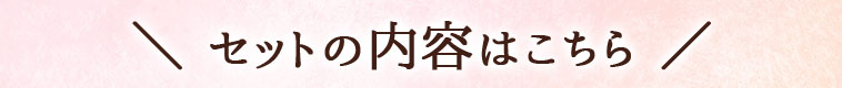 セットの内容はこちら