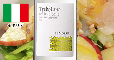 トレッビアーノ・レ・モーレ