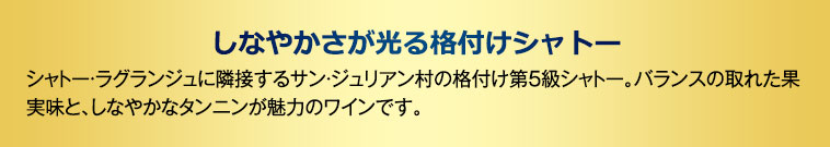 しなやかさが光る格付けシャトー