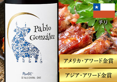 パブロ・ゴンザレス・メルロー