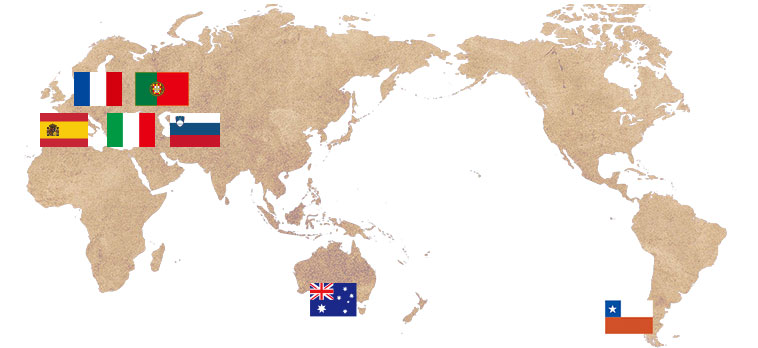 世界6ヵ国から味わいを楽しめます。