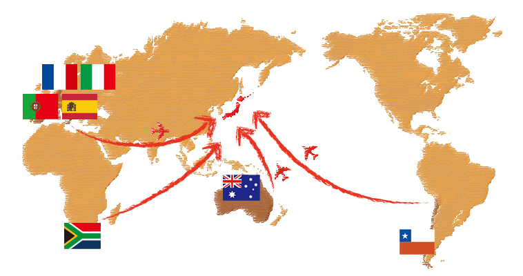 世界地図