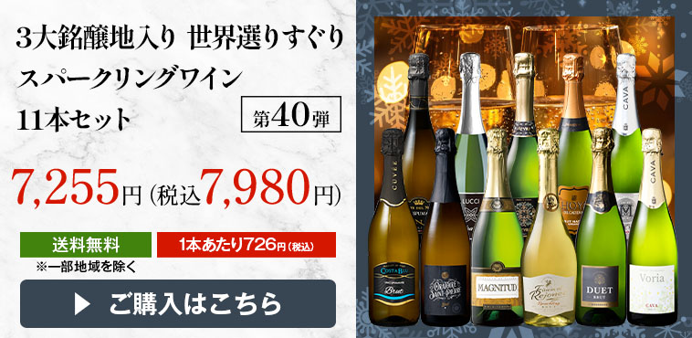 3大銘醸地入り 世界選りすぐりスパークリングワイン11本セット 第40弾