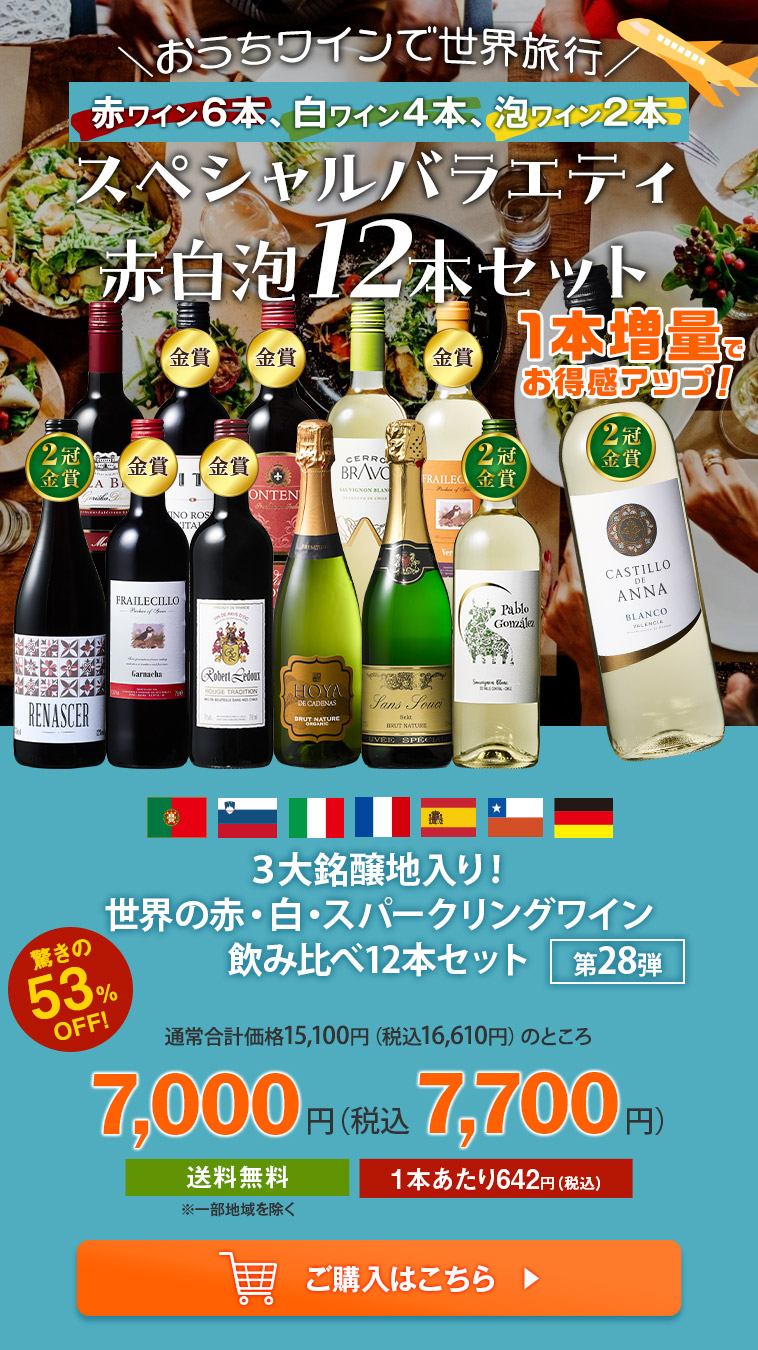 ３大銘醸地入り！世界の赤・白・スパークリングワイン飲み比べ12本セット 第28弾