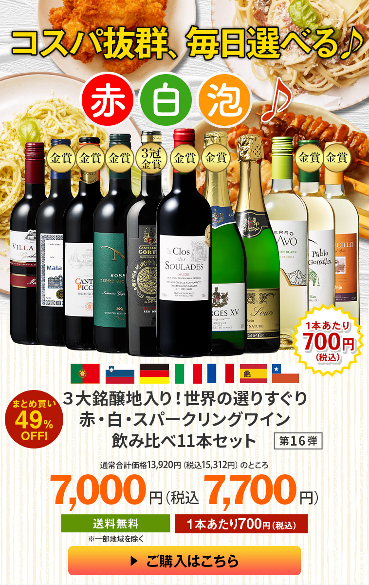 コスパ抜群、毎日選べる♪赤白泡♪３大銘醸地入り！世界の選りすぐり赤・白・スパークリングワイン飲み比べ１１本セット　第16弾