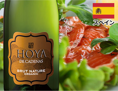 オヤ・デ・カデナス・オーガニック・ブリュット・ナチュレ