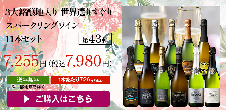 3大銘醸地入り 世界選りすぐりスパークリングワイン11本セット 第43弾