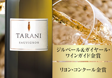 タラニ・ソーヴィニヨン・ブラン’２３
