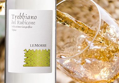 トレッビアーノ・レ・モーレ