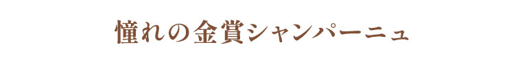 高級白ワインの代名詞シャブリ