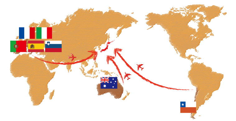 世界地図