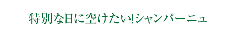 特別な日に空けたい!シャンパーニュ