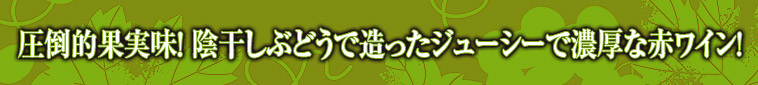圧倒的果実味！ 陰干しぶどうで造ったジューシーで濃厚な赤ワイン!