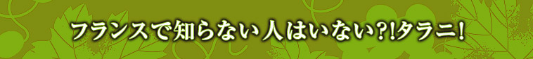 フランスで知らない人はいない？！タラニ！