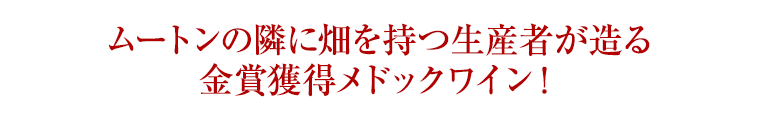 ムートンの隣に畑を持つ生産者が造る金賞獲得メドックワイン！