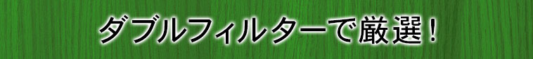 ダブルフィルターで厳選！