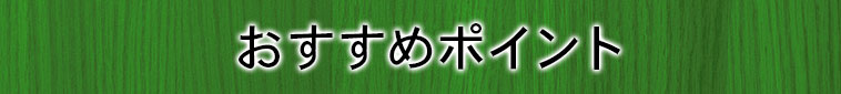 おすすめポイント