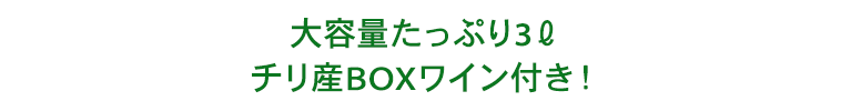 大容量たっぷり3リットル！スペイン産BOXワイン付き！
