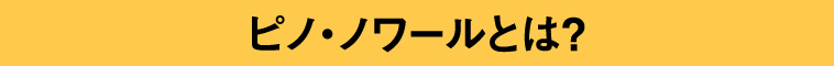 ピノノワールとは？