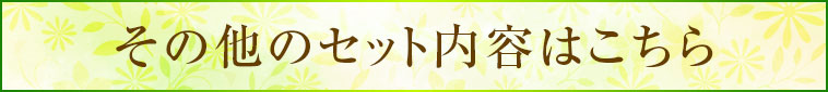 その他のセット内容はこちら