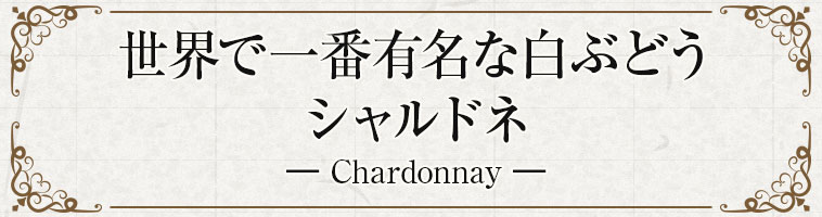 世界で一番有名な白ぶどうシャルドネ― Chardonnay ―