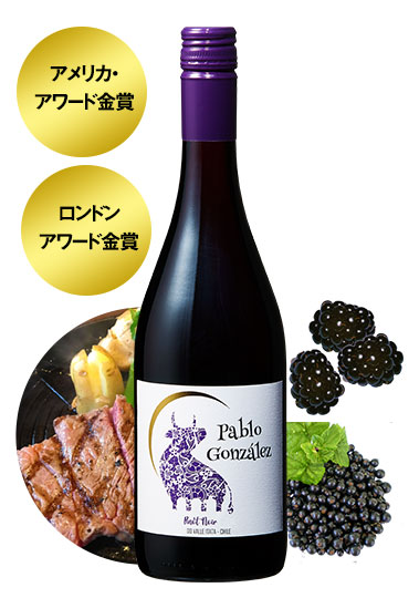 パブロ・ゴンザレス・ピノ・ノワール
