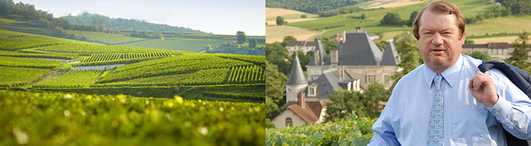 G.H.マーテルとぶどう畑